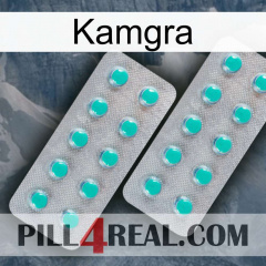 Kamgra 29